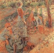 Camille Pissarro Apple picking oil painting